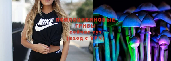 меф Арсеньев