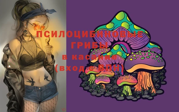 прущие крисы Аркадак